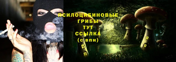 прущая мука Арсеньев