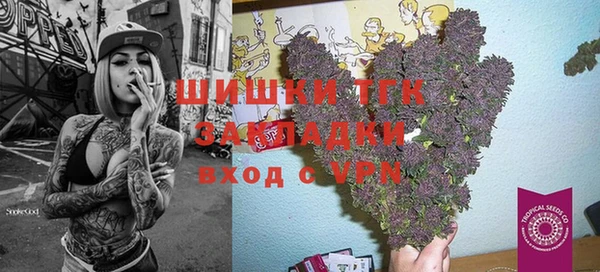 прущая мука Арсеньев