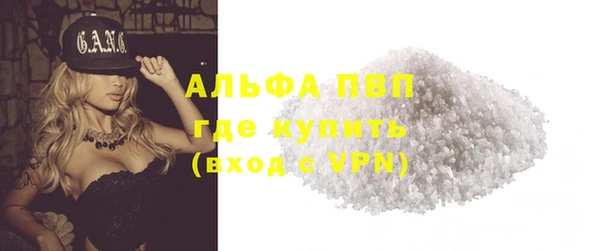 мяу мяу мука Баксан