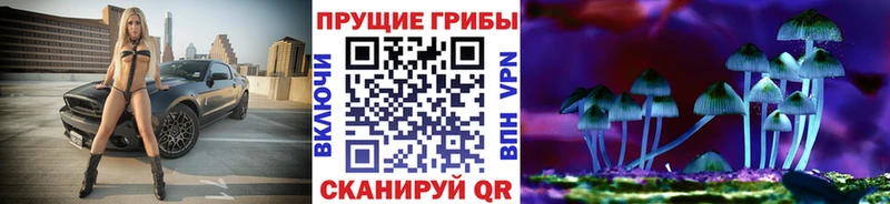 Псилоцибиновые грибы Cubensis Макарьев