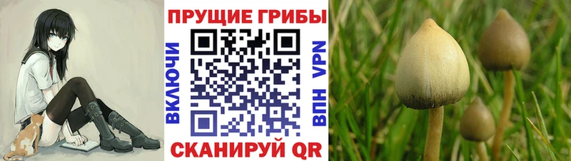 Псилоцибиновые грибы ЛСД  гидра вход  Макарьев 